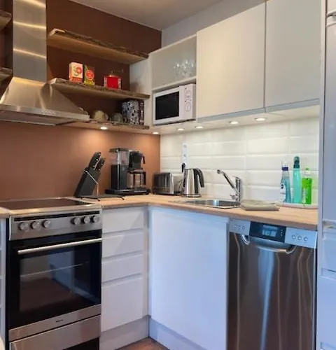 Modern And Stylish Assi Хямеэнлинна